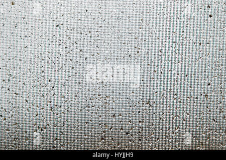 Close-ups of raindrops on a window glass & screen Stock Photo