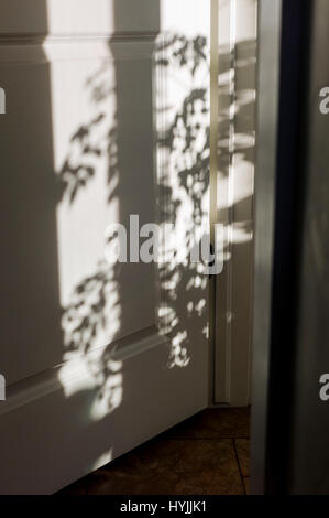 Dappled sunlight creates abstract shadows on white door Stock Photo