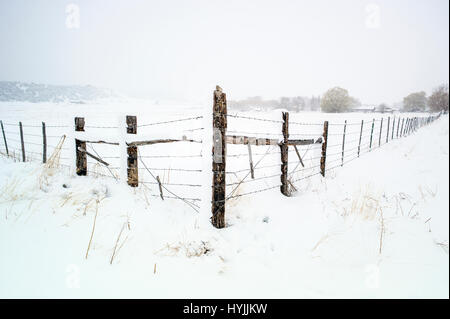 Barbed wire fence in fresh April snowstorm: Vandaveer Ranch; Salida; Colorado; USA Stock Photo
