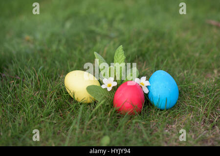 Three colored Easter eggs in a grass Stock Photo