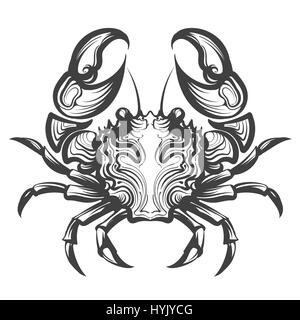 Crab Engraving illustration in retro style. Seafood element for menu decor or company label. Hand drawn illustrations isolated on white background Stock Vector