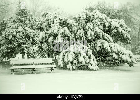 Benches and tree branches under heavy snow. Stock Photo