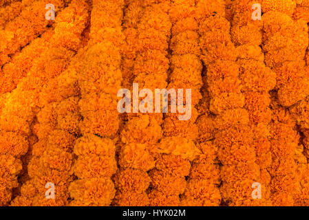 Orange Marigold garlands for sale at Mullick Ghat Flower Market, Kolkata Stock Photo