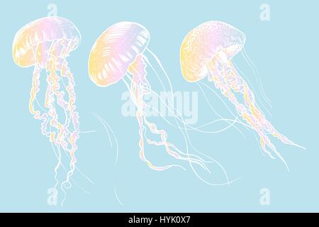 Hand drawn jellyfish. Vector illustration. Sea collection. Stock Vector
