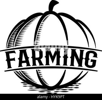Isolated abstract black color round shape pumpkin logo on white background, farming logotype,autumn vegetable vector illustration Stock Vector