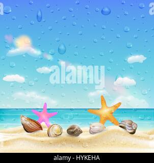 sea shell and starfish  on a sand beach  with water drop on screen Stock Vector