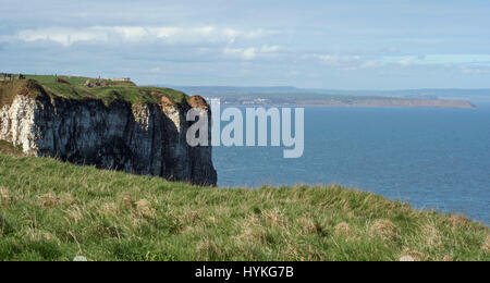 RSPB Reserve Bempton Cliffs Stock Photo