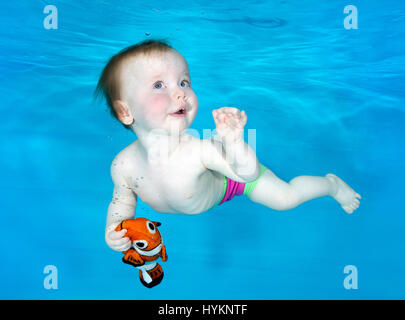 A picture of Isabelle, 10 months old, at Starfish underwater photo shoot in Cheltenham. SWIMMING before they can walk these little bathing beauties have been photographed underwater by a British photographer. Utilising their natural amphibious reflex, these babies, aged from just three months old, held their breath as they were released underwater by professional baby swim instructors.  Photographs show the hilarious expressions on the faces of the little nippers. London based underwater photographer Lucy Ray (35) from Starfish Underwater Photography took these pictures across various location Stock Photo