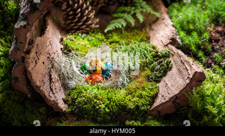 Quail Easter eggs in the nest with feathers Stock Photo