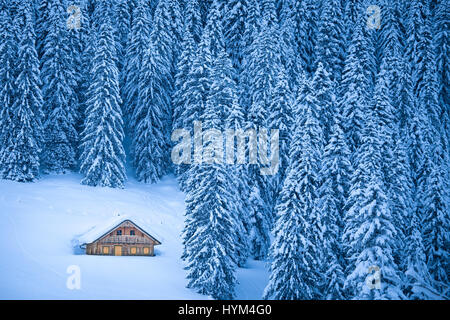 Beautiful view of traditional wooden mountain chalet secluded in idyllic forest in the Alps on a cold sunny day in winter, Gosausee, Salzkammergut, Up Stock Photo