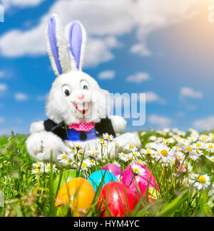 Easter bunny on a blue background. Rabbit. Easter ideas. Easter eggs ...