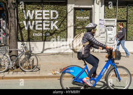 Two storefronts in the Lower East Side neighborhood of New York are filled with 'faux' marijuana on Wednesday, March 29, 2017 as a promotion for the so-called 'Weed Week' programming on the Viceland television channel. The celebration of all things marijuana takes place on the Viceland cable channel from April 17-20. April 20 is known as 420 in cannabis culture and is a holiday for smoking marijuana, especially at 4:20 AM or PM. (© Richard B. Levine) Stock Photo