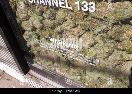 Two storefronts in the Lower East Side neighborhood of New York are filled with 'faux' marijuana on Wednesday, March 29, 2017 as a promotion for the so-called 'Weed Week' programming on the Viceland television channel. The celebration of all things marijuana takes place on the Viceland cable channel from April 17-20. April 20 is known as 420 in cannabis culture and is a holiday for smoking marijuana, especially at 4:20 AM or PM. (© Richard B. Levine) Stock Photo