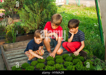 Children with green seedlings Stock Photo