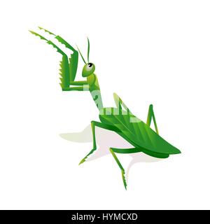 Mantis in an attacking pose, minimalist image on white background Stock Vector