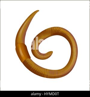 Vector Animal Earth Red Worm for Fishing Isolated on White Background Stock Vector