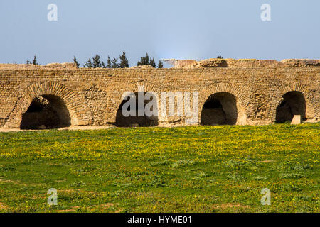 The ancient Roman Zaghouan Aqueduct once supplied water to the city of Carthage.  At 82 miles (132km) in length, it is amongthe longest aqueducts in t Stock Photo