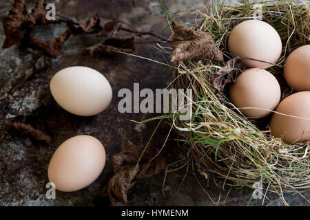 Many natural easter eggs in a birds nest, happy easter concept background Stock Photo