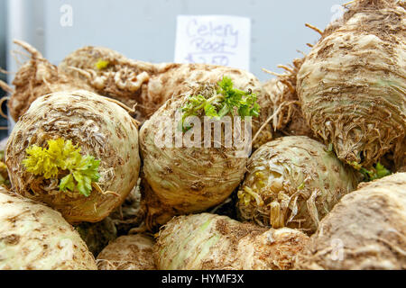 Celery roots for sale at a farmer's market. Stock Photo