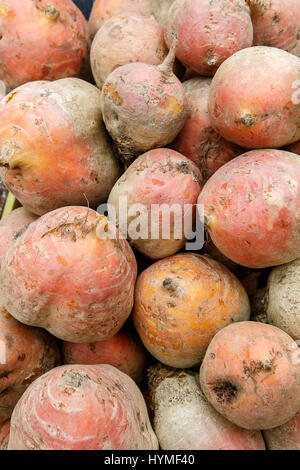 Rutabaga for sale at a farmer's market. Stock Photo