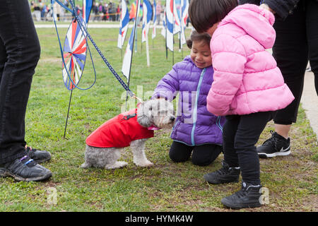Small children petting a dog - USA Stock Photo