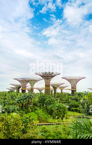 MARINA BAY, SINGAPORE - JAN 20, 2017: Landscape of Gardens by the bay, Supertree grove in Singapore. Stock Photo