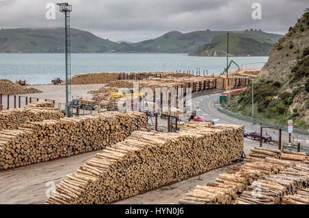 Tree Logs Stacked Up In Port Chalmers Near Dunedin, New Zealand Ready For Loading Onto Cargo Ships For Export Stock Photo