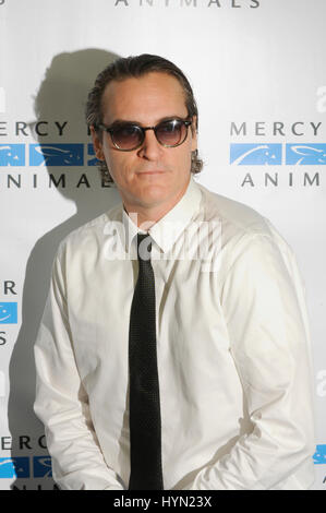 Joaquin Phoenix attends the Mercy For Animals Hidden Heroes Gala at Unici Casa on August 29th, 2015 in Los Angeles California. Stock Photo