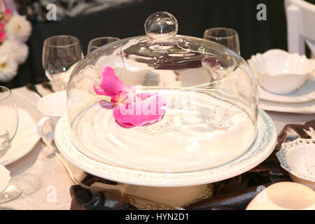 Empty cake container Stock Photo