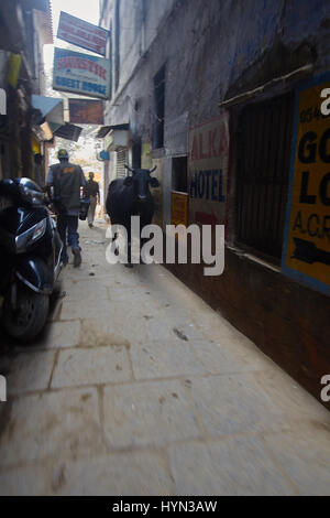 Indian people in alleyway in the holy city of Varanasi, Benares, Northern India Stock Photo