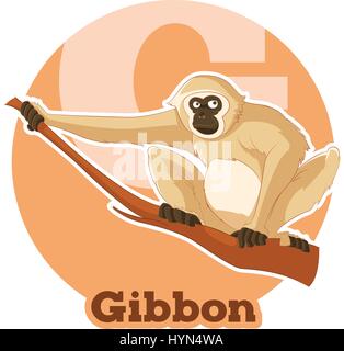 ABC Cartoon Gibbon Stock Vector