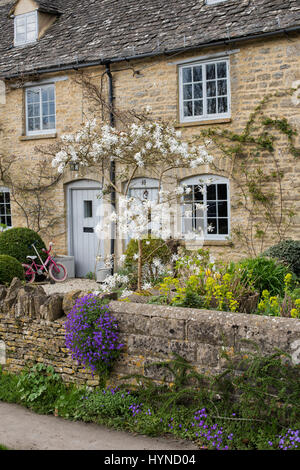 Spring garden with flowering magnolia tree in front of a cottage. Combe, Oxfordshire, England Stock Photo