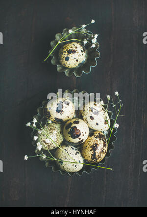 Quail eggs in molds and dried wild flowers for Easter Stock Photo