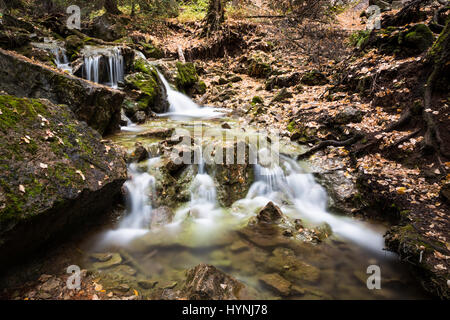 The water of Dead Horse Creek cascading over rocks and logs below Hanging Lake near Glenwood Springs, Colorado. Several yellow aspen leaves have falle Stock Photo