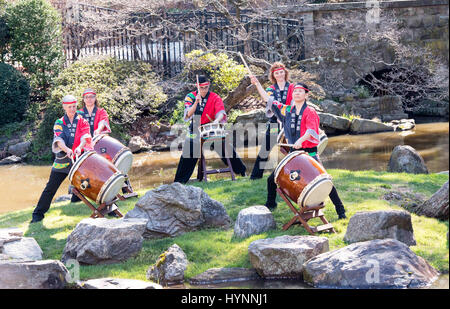 Norristown, Pennsylvania, USA. 5th Apr, 2017. Kyo Daiko taiko drummers performing at the Subaru Cherry Blossom Festival Presser. The presser was held at the Shofuso Japanese House and Garden in historic Fairmount Park in Philadelphia Pa Credit: Ricky Fitchett/ZUMA Wire/Alamy Live News Stock Photo