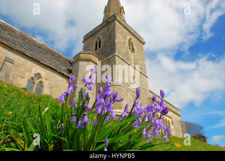 Little Bredy, Dorset, UK. 5th April, 2017. UK weather. Early-flowering bluebells on a sunny Spring day, St Michael and All Angels, Little Bredy, Dorset Credit: stuart fretwell/Alamy Live News Stock Photo