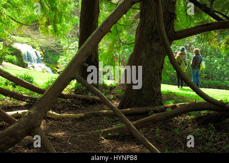 Little Bredy, Dorset, UK. 5th April, 2017. UK weather. The  cascade in the Spring sunshine at Bridehead House, Little Bredy, Dorset : as seen in the 'Broadchurch' T.V. series Credit: stuart fretwell/Alamy Live News Stock Photo