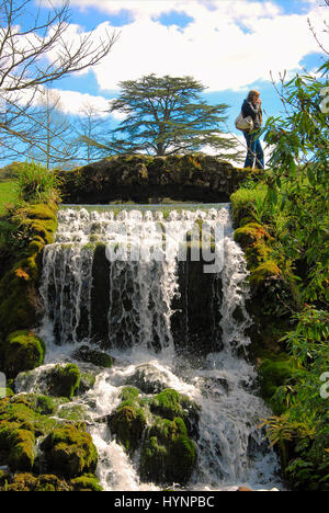 Little Bredy, Dorset, UK. 5th April, 2017. UK weather. The  cascade in the Spring sunshine at Bridehead House, Little Bredy, Dorset : as seen in the 'Broadchurch' T.V. series Credit: stuart fretwell/Alamy Live News Stock Photo