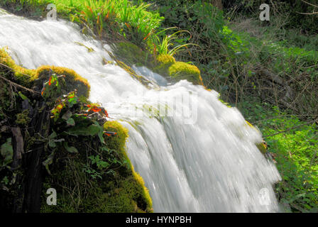 Little Bredy, Dorset, UK. 5th April, 2017. UK weather. The  cascade in the Spring sunshine at Bridehead House, Little Bredy, Dorset : as seen in the 'Broadchurch' T.V. series Credit: stuart fretwell/Alamy Live News Stock Photo