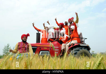 (170405) -- AMRITSAR (INDIA), April 5, 2017 (Xinhua) -- Students wearing traditional Punjabi attire perform folk dance 'Bhangara' as they participate in Vaisakhi festival celebrations at a wheat farm on the outskirts of Amritsar city, northern Indian State of Punjab, on April 5, 2017. Vaisakhi is the festival of the first harvest of the year right after the winter season. It is widely celebrated as traditional harvest festival in many northern states of India such as Haryana, Himachal Pradesh and Uttaranchal. (Xinhua/Stringer) Stock Photo