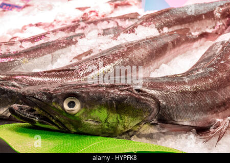 A photo of a fresh hake on ice sold at a Spanish market, with selective focus and a place for text Stock Photo