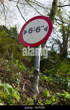 Narrow road warning sign in a hedgebank Stock Photo