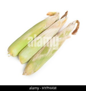 Closed corn cob isolated on white background Stock Photo