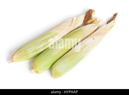 Closed corn cob isolated on white background Stock Photo
