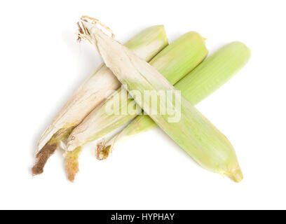 Closed corn cob isolated on white background Stock Photo