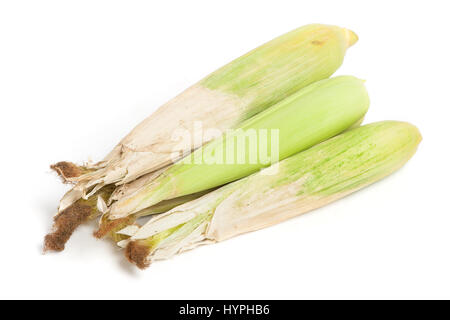 Closed corn cob isolated on white background Stock Photo