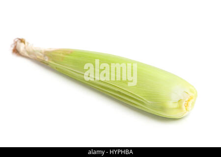 Closed corn cob isolated on white background Stock Photo