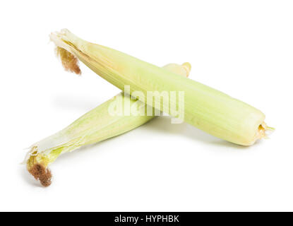 Closed corn cob isolated on white background Stock Photo