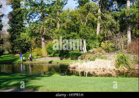 Dublin, Ireland - 15 March, 2017: Beautiful landscape in spring time in The National Botanic Gardens on March 15, 2017 in Dublin Stock Photo