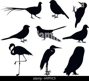Collection of Bird Silhouettes Stock Vector